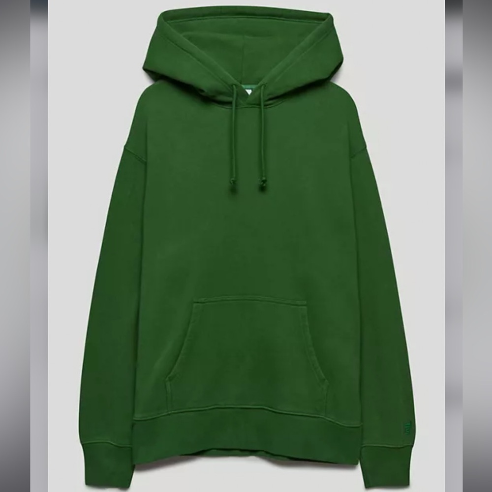 Aritzia Cozy Fleece Boyfriend Hoodie in Juniper Green